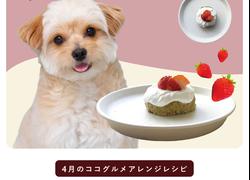 ココグルメいちごケーキ