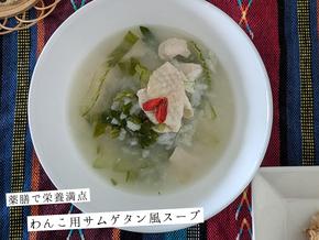 韓国薬膳スープ　参鶏湯風