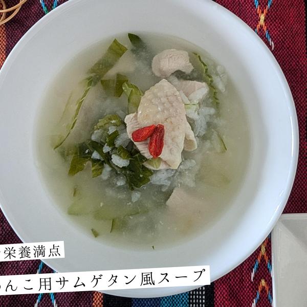 韓国薬膳スープ　参鶏湯風