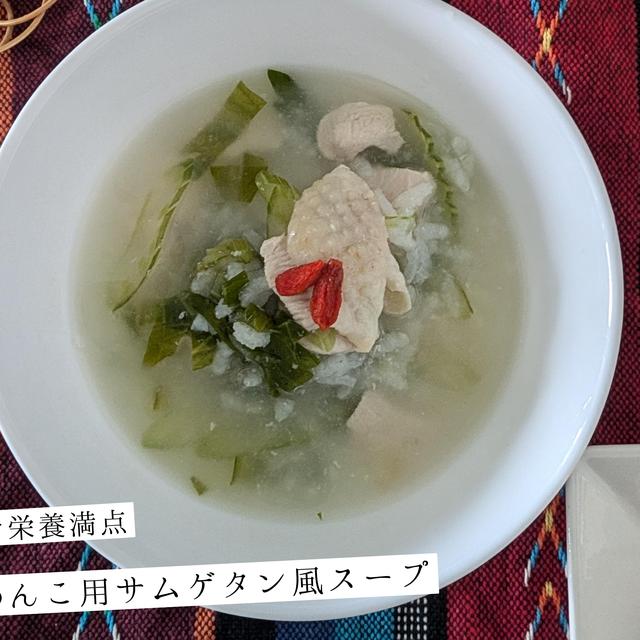 韓国薬膳スープ 参鶏湯風