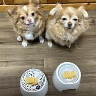 わちあぐママ