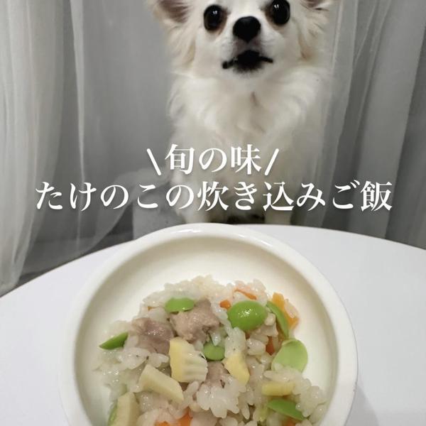 たけのこの炊き込みご飯