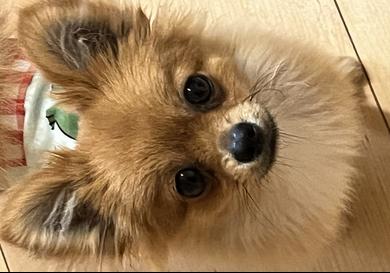 プロフィール写真