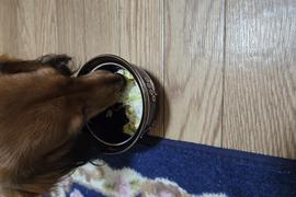 即完食しました☆
