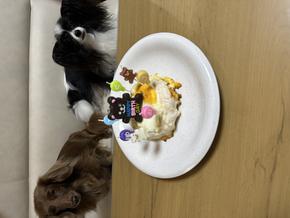 鶏バークケーキ