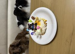 鶏バークケーキ