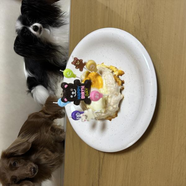 鶏バークケーキ