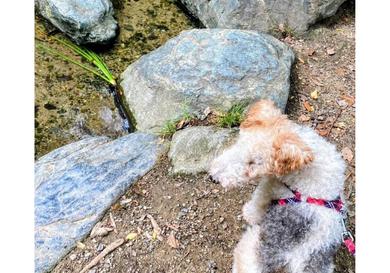 プロフィール写真