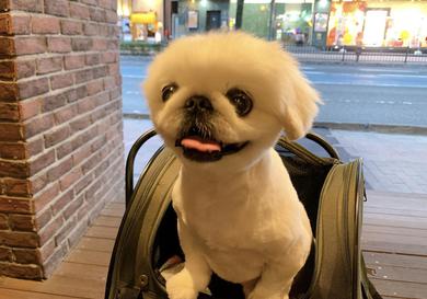 プロフィール写真