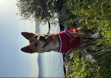 プロフィール写真