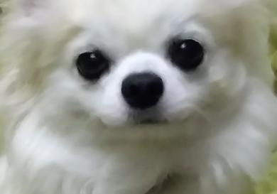 プロフィール写真