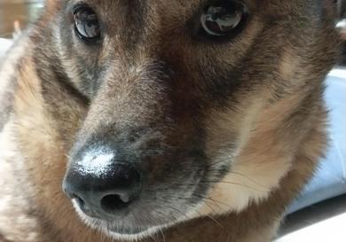 プロフィール写真