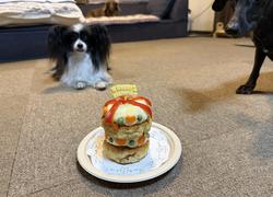 鶏ハンバーグケーキ