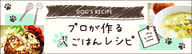 PROFESSIONAL HOMEMADE DOG FOOD RECIPES